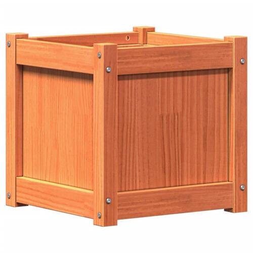 Plantekasse 40x40x40 cm massivt fyrretræ gyldenbrun