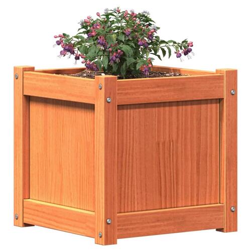 Plantekasse 40x40x40 cm massivt fyrretræ gyldenbrun