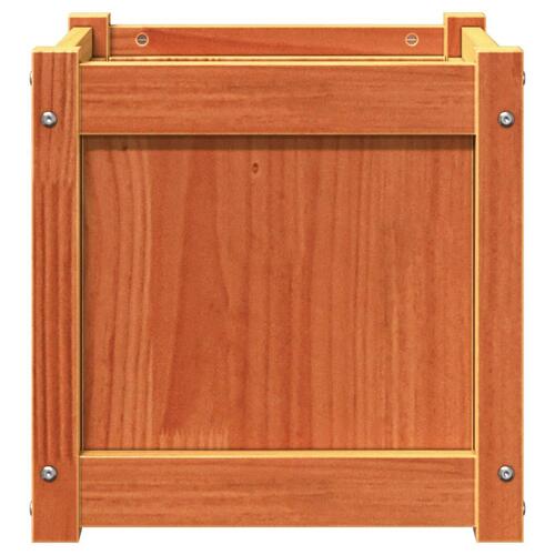 Plantekasse 40x40x40 cm massivt fyrretræ gyldenbrun