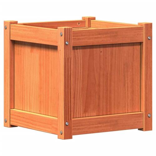Plantekasse 40x40x40 cm massivt fyrretræ gyldenbrun