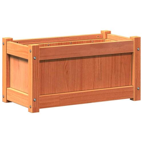 Plantekasse 60x31x31 cm massivt fyrretræ gyldenbrun