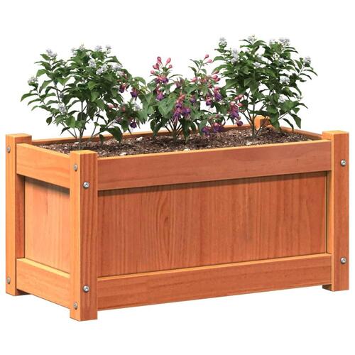 Plantekasse 60x31x31 cm massivt fyrretræ gyldenbrun
