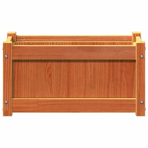 Plantekasse 60x31x31 cm massivt fyrretræ gyldenbrun