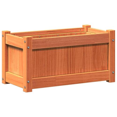 Plantekasse 60x31x31 cm massivt fyrretræ gyldenbrun