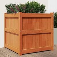 Plantekasse 60x60x60 cm massivt fyrretræ gyldenbrun