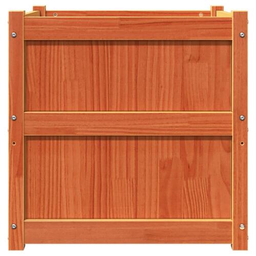 Plantekasse 60x60x60 cm massivt fyrretræ gyldenbrun