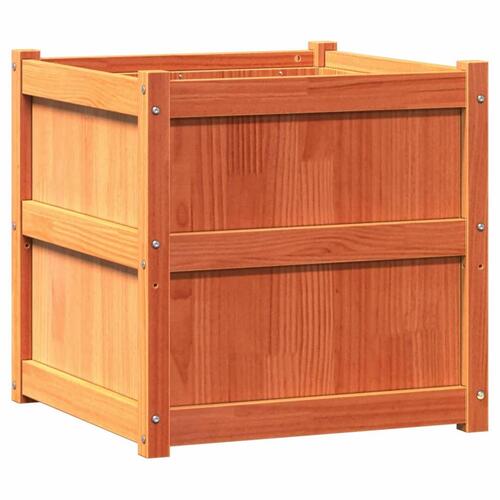 Plantekasse 60x60x60 cm massivt fyrretræ gyldenbrun