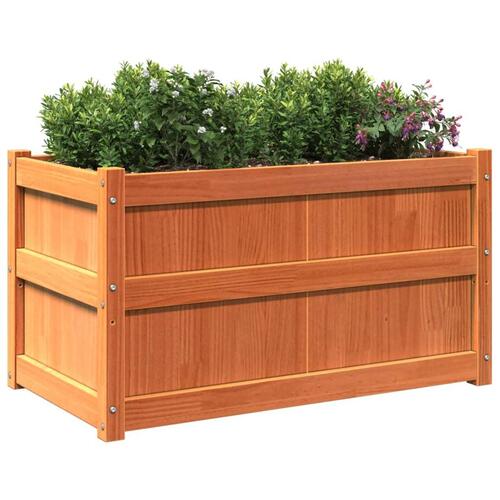 Plantekasse 90x50x50 cm massivt fyrretræ gyldenbrun