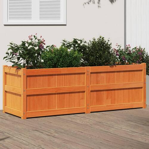 Plantekasse 150x50x50 cm massivt fyrretræ gyldenbrun