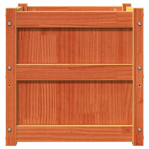 Plantekasse 50x50x50 cm massivt fyrretræ gyldenbrun