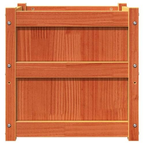 Plantekasse 50x50x50 cm massivt fyrretræ gyldenbrun