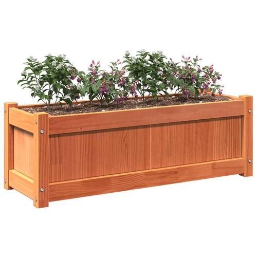 Plantekasse 90x31x31 cm massivt fyrretræ gyldenbrun