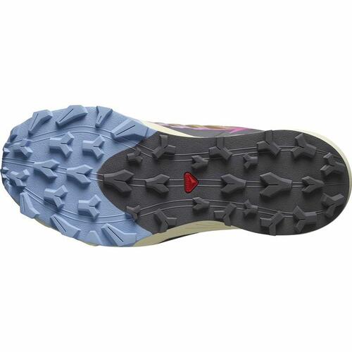 Sportssneakers til damer Salomon Thundercross Brun 37 1/3