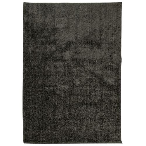 Gulvtæppe ISTAN 80x150 cm lang luv skinnende look antracitgrå
