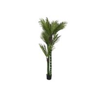 Dekorativ plante Home ESPRIT Polyetylen Cement Palmera 100 x 100 x 235 cm