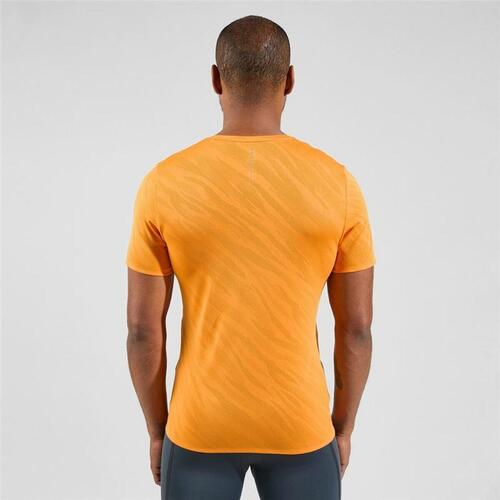 Unisex Kortærmet T-shirt Odlo Zeroweight Enginee Orange M