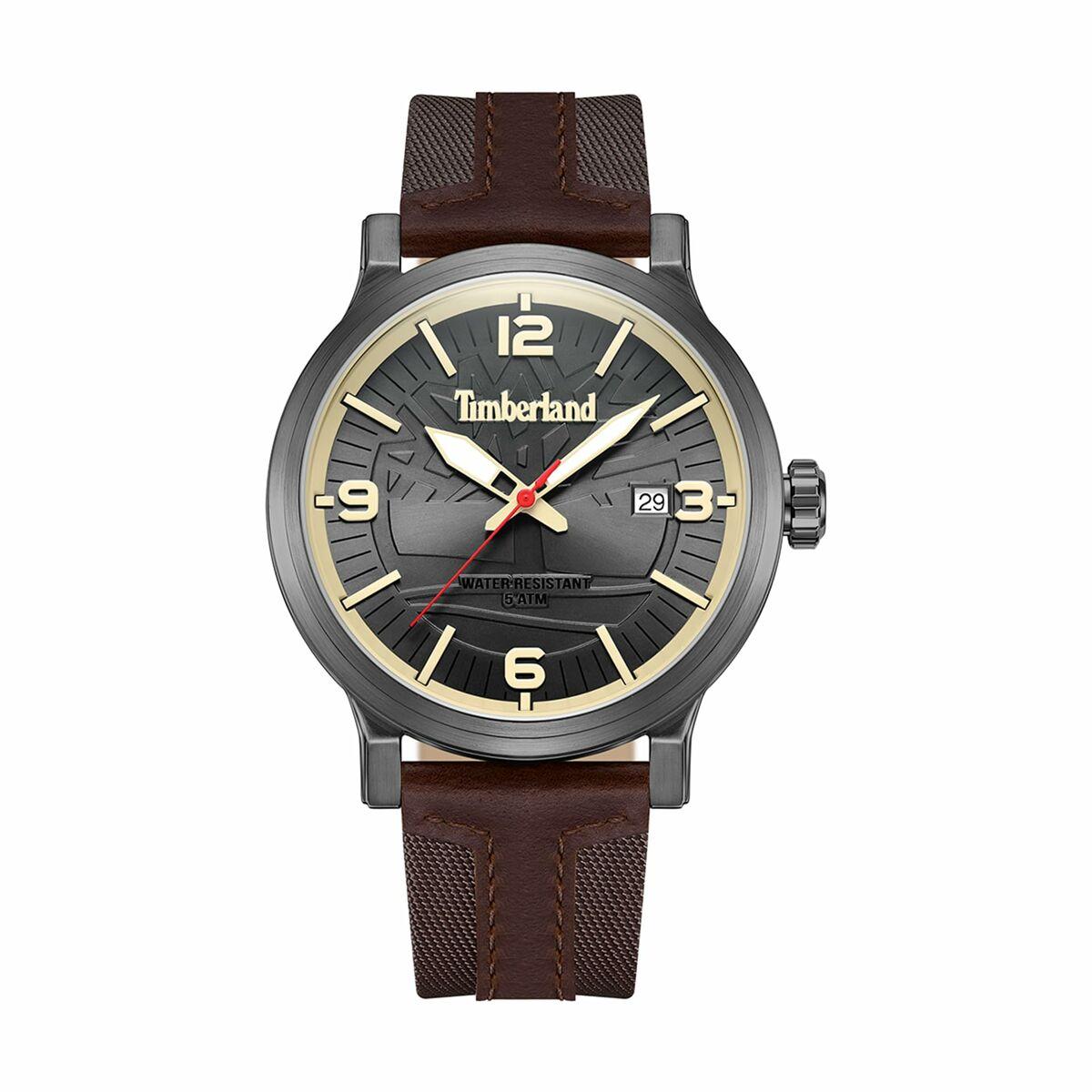 Herreur Timberland TDWGN0029104 Grå