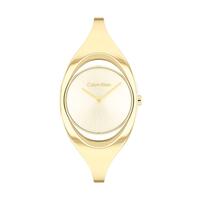 Dameur Calvin Klein 25200 Guld