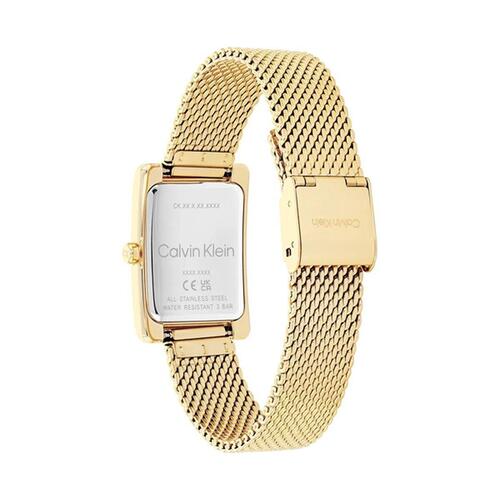 Dameur Calvin Klein 2520039 Guld