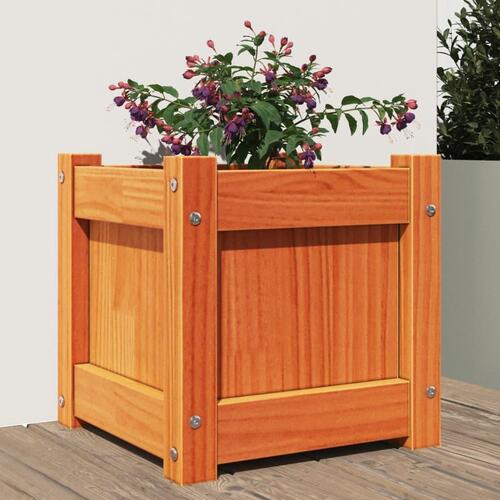 Plantekasse 31x31x31 cm massivt fyrretræ gyldenbrun