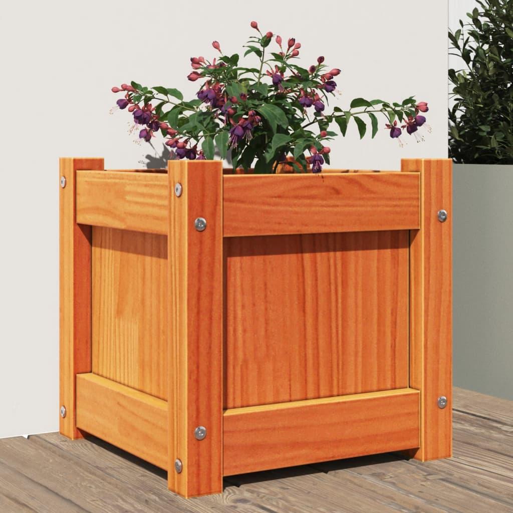 Plantekasse 31x31x31 cm massivt fyrretræ gyldenbrun