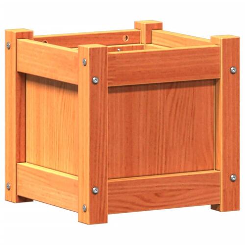 Plantekasse 31x31x31 cm massivt fyrretræ gyldenbrun