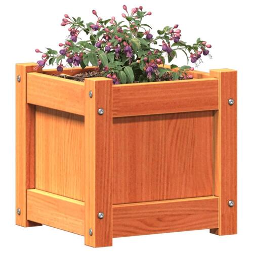 Plantekasse 31x31x31 cm massivt fyrretræ gyldenbrun