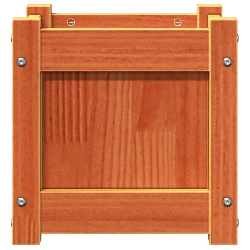 Plantekasse 31x31x31 cm massivt fyrretræ gyldenbrun