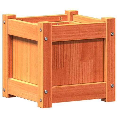 Plantekasse 31x31x31 cm massivt fyrretræ gyldenbrun