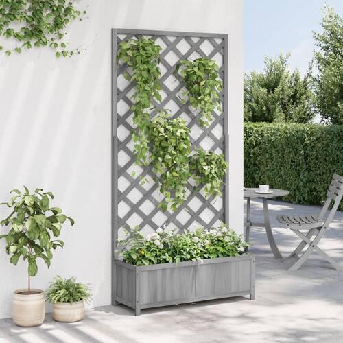 Plantekasse med espalier massivt grantræ grå