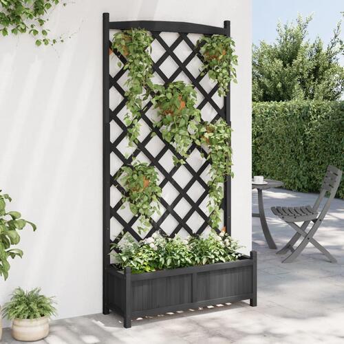 Plantekasse med espalier massivt grantræ sort