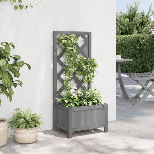 Plantekasse med espalier massivt grantræ grå