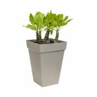 Urtepotte Elho Ø 29,5 cm Hvid polypropylen Plastik Firkantet Moderne