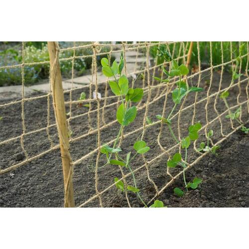 net til klatreplanter 1x3 m naturfarvet