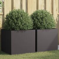 Plantekasser 2 stk. 49x47x46 cm koldvalset stål sort