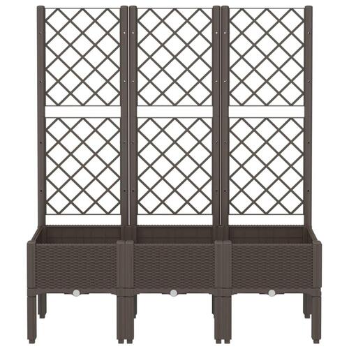 Plantekasse med espalier 120x40x142 cm PP brun