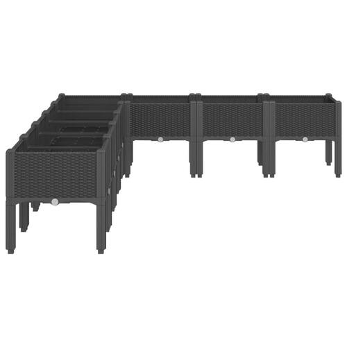 Plantekasse med ben 200x160x42 cm PP sort