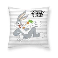 Pudebetræk Looney Tunes Looney Characters A 45 x 45 cm