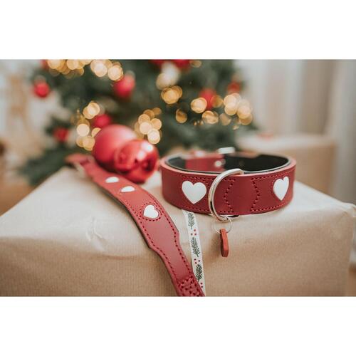 Hundehalsbånd Hunter Love S/M 35-40 cm Rojo/Blanco