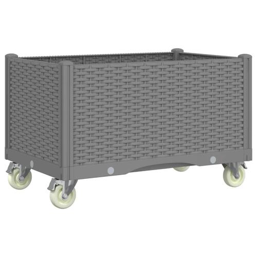 Plantekasse med hjul 80x50x54 cm PP lysegrå