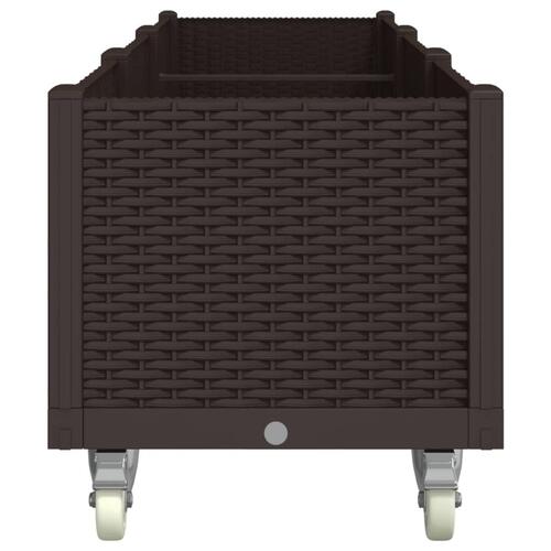 Plantekasse med hjul 240x50x54 cm PP brun