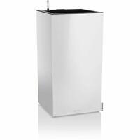 Urtepotte Lechuza 76 x 40 x 10 cm Hvid (1 enheder)