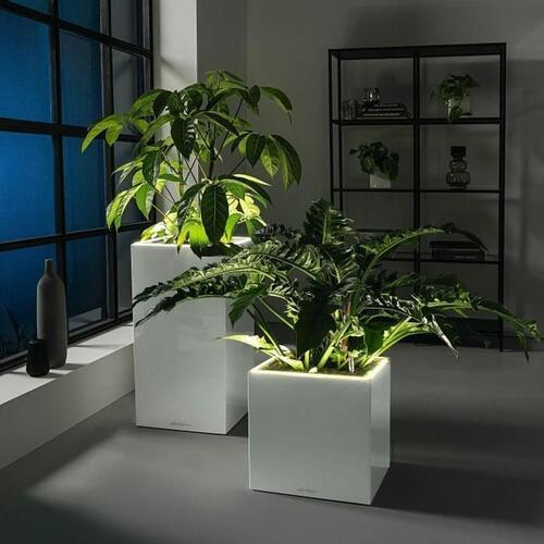 Urtepotte Lechuza 76 x 40 x 10 cm Hvid (1 enheder)