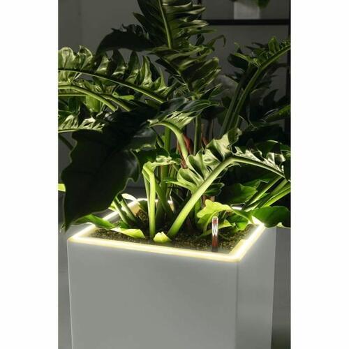 Urtepotte Lechuza 40 x 40 x 40 cm Sort (1 enheder)