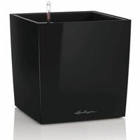 Urtepotte Lechuza 36 x 36 x 40 cm Sort polypropylen Plastik