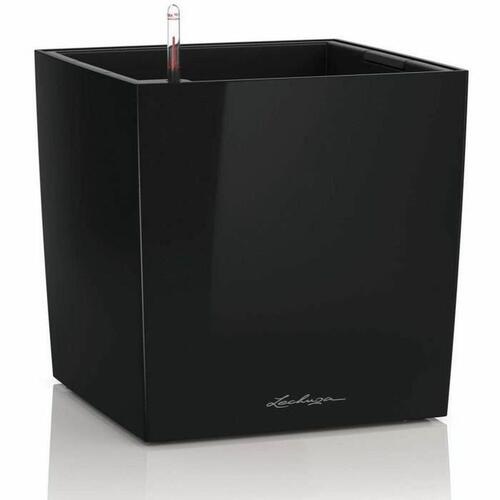 Urtepotte Lechuza 36 x 36 x 40 cm Sort polypropylen Plastik