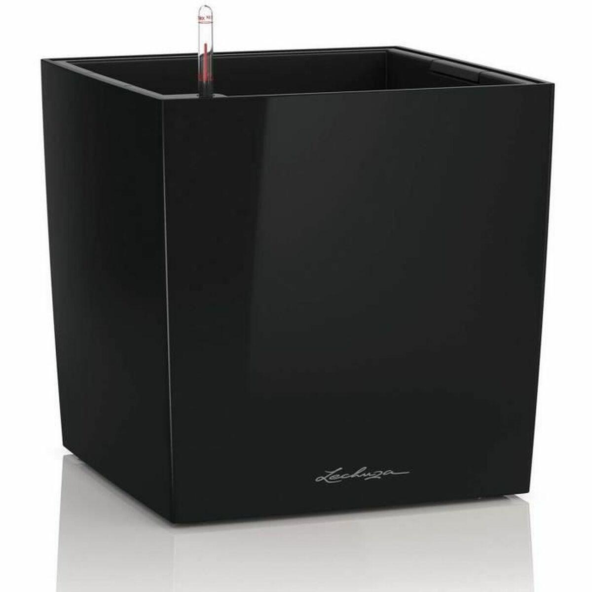 Urtepotte Lechuza 36 x 36 x 40 cm Sort polypropylen Plastik