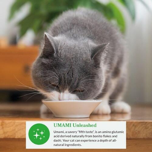 Snack for Cats Inaba Dashi Delights Kylling 70 g