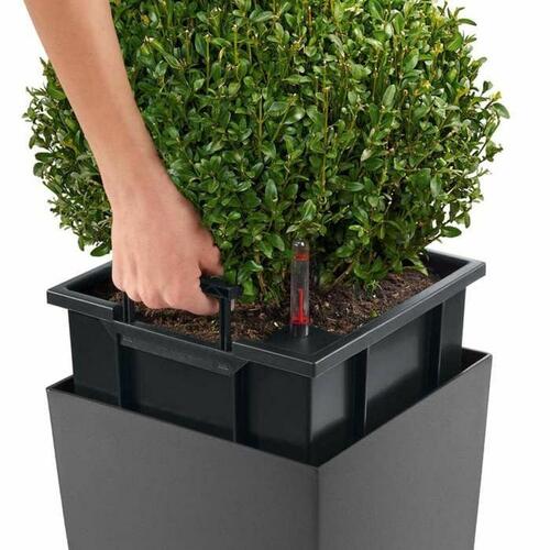 Urtepotte Lechuza 40 x 40 x 105 cm Plastik Rektangulær