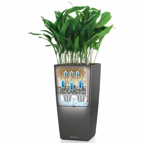 Urtepotte Lechuza 40 x 40 x 105 cm Plastik Rektangulær